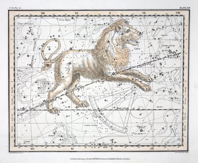The Constellations (Plate XVII) Leo, from 
